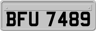 BFU7489
