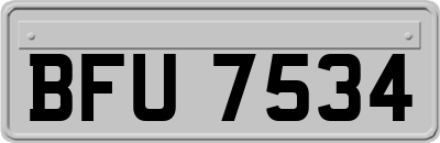 BFU7534