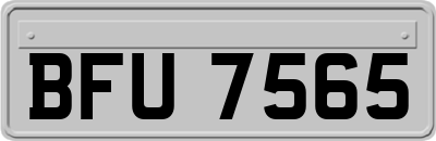 BFU7565