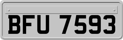BFU7593