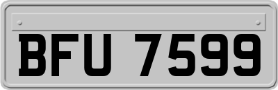 BFU7599