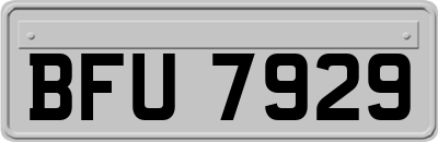 BFU7929