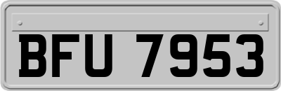 BFU7953