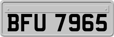 BFU7965