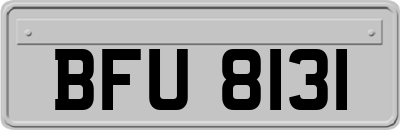 BFU8131