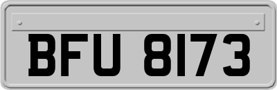 BFU8173