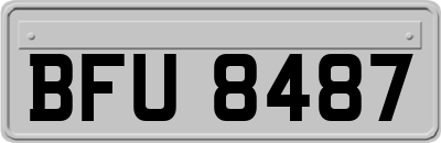 BFU8487