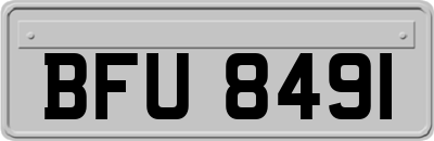 BFU8491