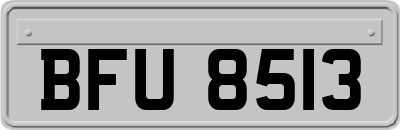 BFU8513