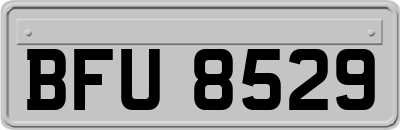 BFU8529