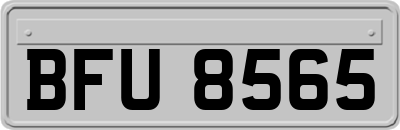 BFU8565