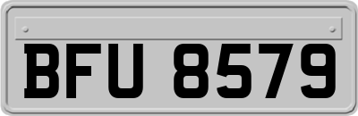 BFU8579