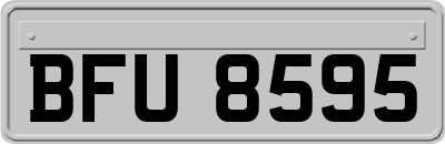 BFU8595