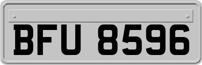 BFU8596