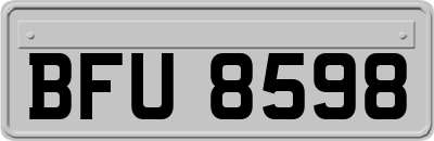 BFU8598