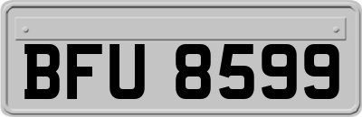 BFU8599