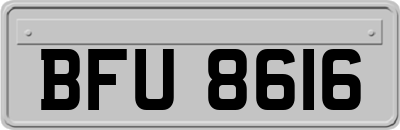 BFU8616
