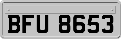 BFU8653