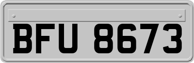 BFU8673