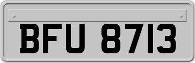 BFU8713