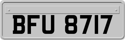 BFU8717