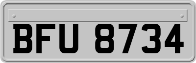 BFU8734