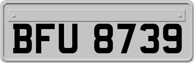 BFU8739