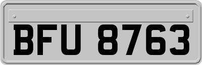 BFU8763
