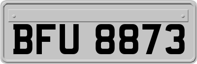 BFU8873