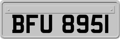 BFU8951
