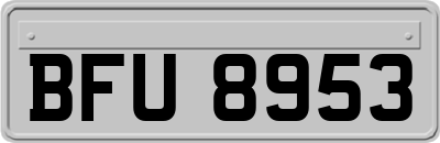 BFU8953