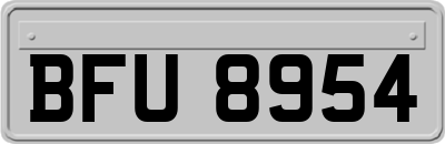 BFU8954
