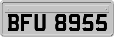 BFU8955