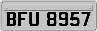 BFU8957