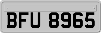 BFU8965