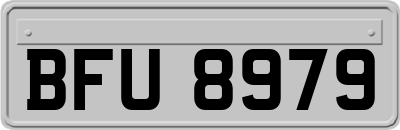 BFU8979