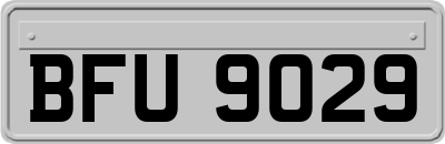 BFU9029