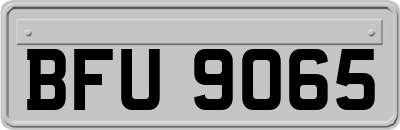 BFU9065