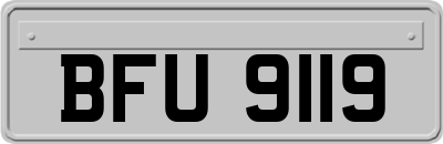 BFU9119