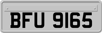 BFU9165
