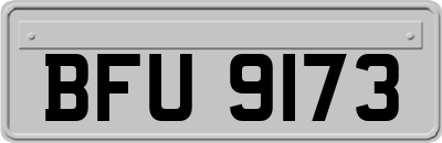 BFU9173
