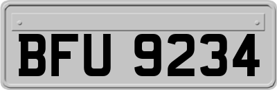 BFU9234