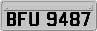 BFU9487
