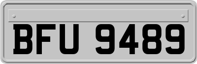BFU9489
