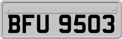BFU9503