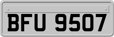 BFU9507