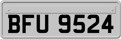 BFU9524