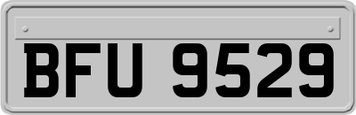 BFU9529