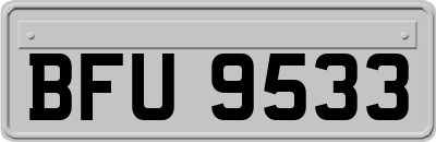 BFU9533