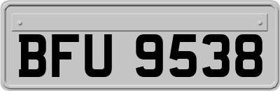 BFU9538